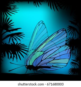 Butterfly with transparent wings at night sky with a silhouette of palm trees. Illustration of a vector childrens lovely for your design