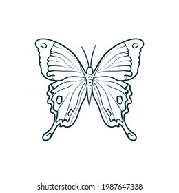 Butterfly. Trend vector illustration. For wedding decoration, logo. Linear art.