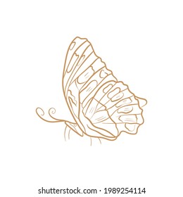 Butterfly. Trend vector illustration. For wedding decoration, logo. Linear art.