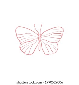 Butterfly. Trend vector illustration. For wedding decoration, logo. Linear art.