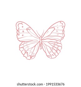 Butterfly. Trend vector illustration. For wedding decoration, logo. Linear art.