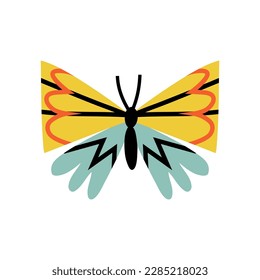 butterfly in trendy flat style. hand drawn vector illustration
