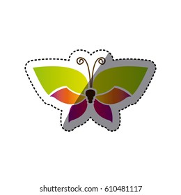 butterfly with tricolor wings icon, vector illustraction design