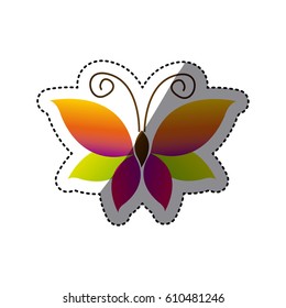butterfly with tricolor wings icon, vector illustraction design