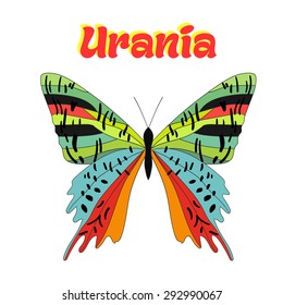 Butterfly urania vector illustration