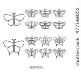 Butterfly vector.