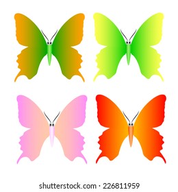 butterfly vector