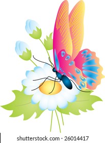 butterfly vector