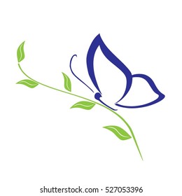 butterfly vector