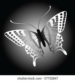 Butterfly vector