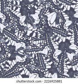 butterfly vector animal pattern design