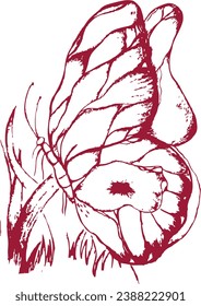 Butterfly vector art dark Red