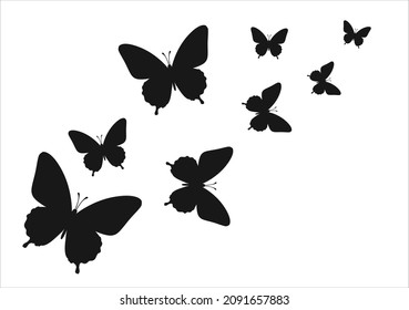 butterfly vector art design hand drawn 