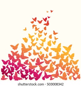 Butterfly vector background