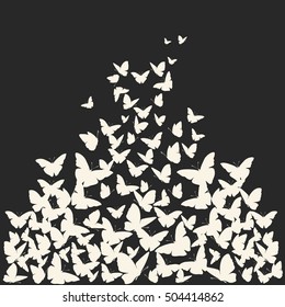 Butterfly vector background