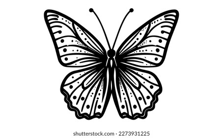 Butterfly vector black line illustration isolated white. Sketch art
