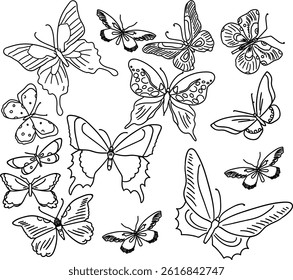 Butterfly vector Bunch Line Art 