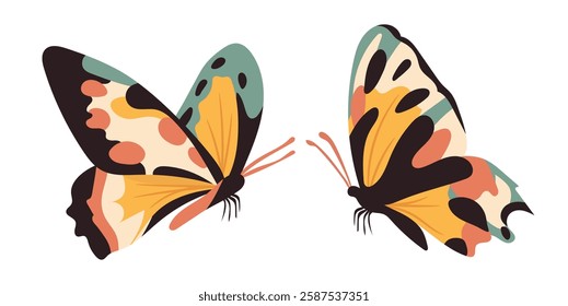 Butterfly. Vector clipart illustration on isolated background.