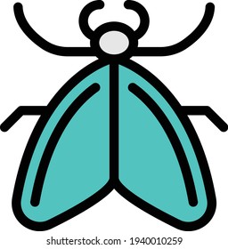 icono de línea de color de vector de mariposa