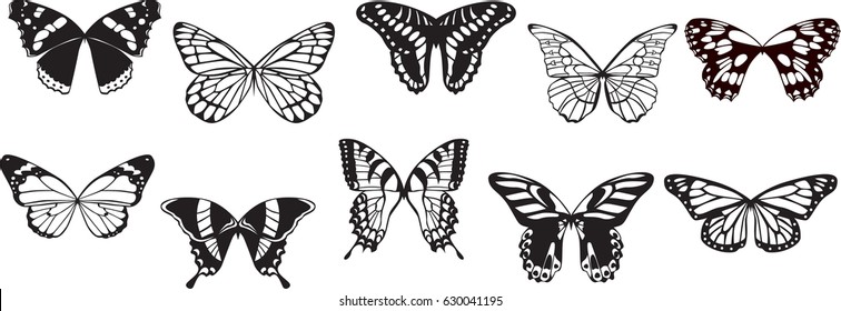 Butterfly Vector Decal Silhouette Art Design Stock Vector (Royalty Free ...