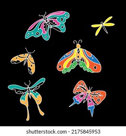 butterfly vector of decorative for pattern. Pattern vector butterfly color on black. art print for fabric pattern