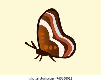 butterfly vector design 
