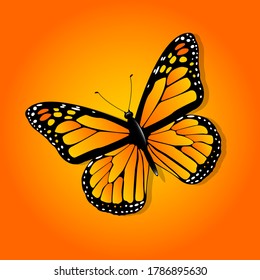 arte de diseño vectorial de mariposa 