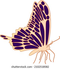 Ilustración digital de vectores de mariposa