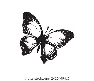 Butterfly Vector Design Element Illustration
