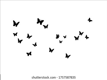 butterfly vector design hand drawn Heart of butterflies