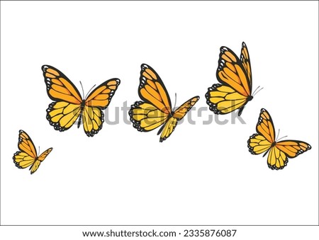 butterfly vector design hand drawn