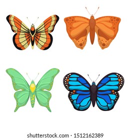 Butterfly vector design illustration isolated on white background