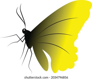 Butterfly vector design for print or use as poster, card, flyer or T Shirt