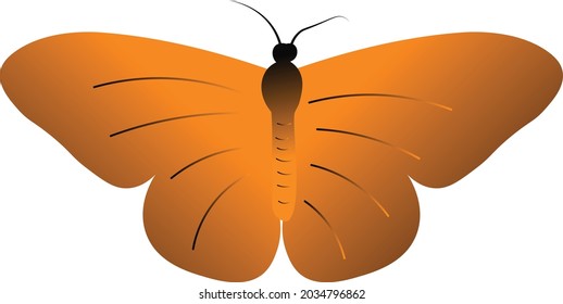 Butterfly vector design for print or use as poster, card, flyer or T Shirt