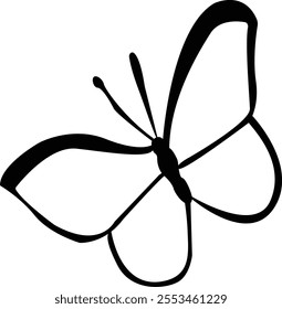 butterfly vector drawing adobe illustrator