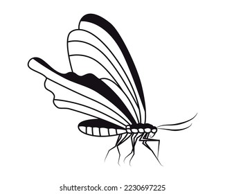 Mariposa. Dibujo de vectores. Acercamiento. Usado para diseño web 