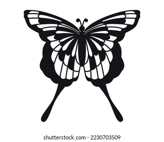Butterfly. Vector drawing. Close-up. Used for web design 