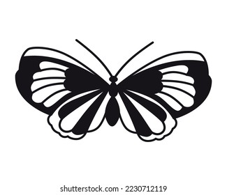 Butterfly. Vector drawing. Closeup. Used for web design