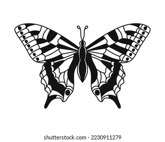 Butterfly. Vector drawing. Closeup. Used for web design