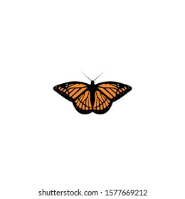 Butterfly vector easy to edit.