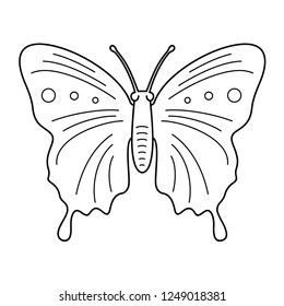 Butterfly. Vector flat outline icon illustration isolated on white background.
