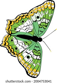 Schmetterlingsvektor in grüner Farbe. Kann für Logo, Marke, Waren, Vektorgrafik verwendet werden.
