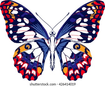 Butterfly vector hand draw insect graphic element