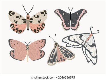 butterfly vector hand drawn design vector art