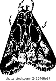 Schmetterling. Vektorhandgezeichnete Skizzengrafik. Schlampenwurzel-Stil