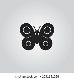 Butterfly vector Icon
