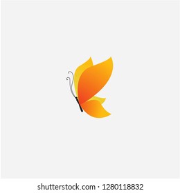 butterfly vector icon