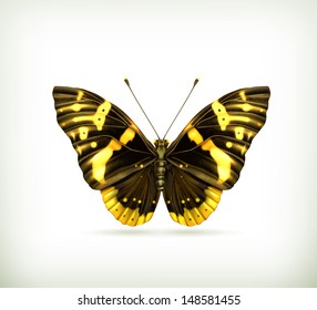 Butterfly vector icon