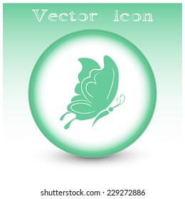 butterfly vector icon