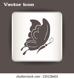 butterfly vector icon